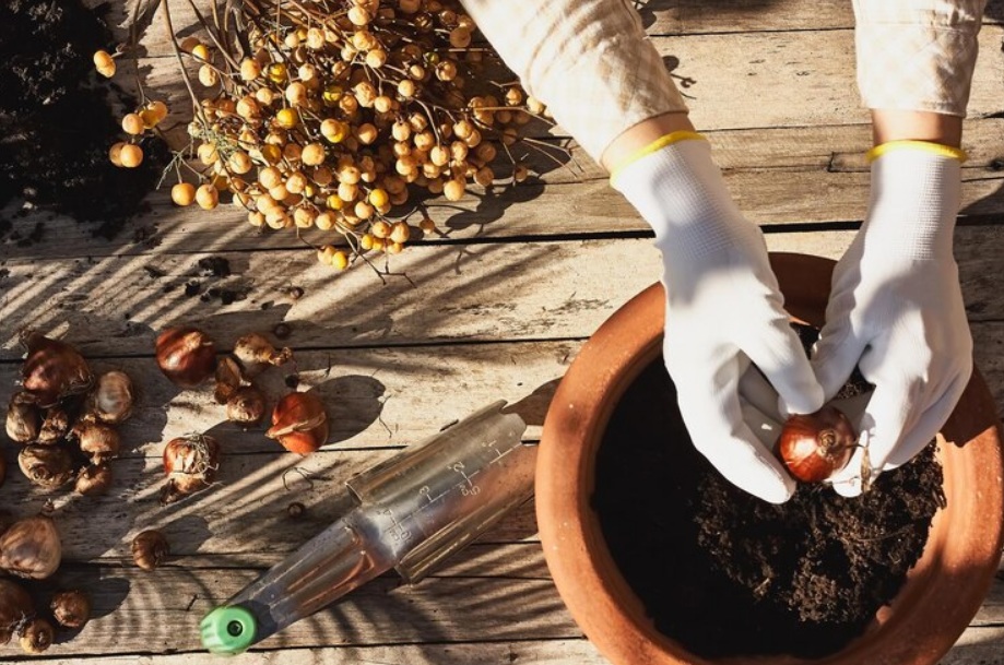 fall planting
