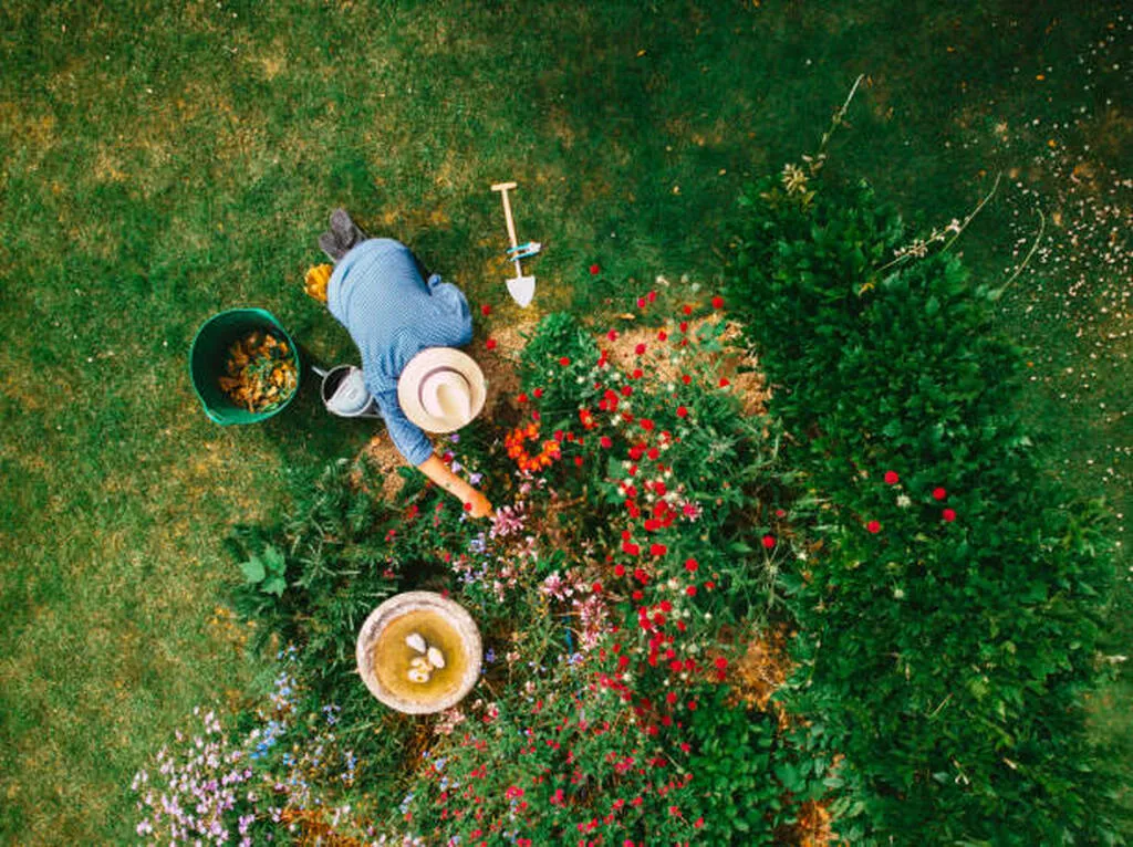 sustainable landscaping