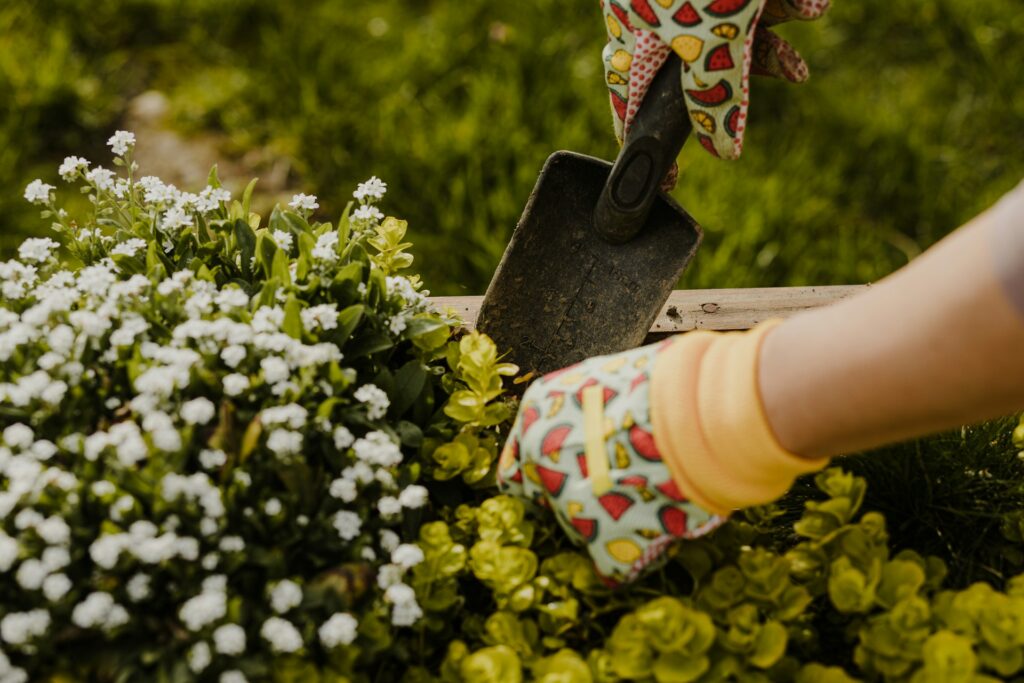 gardening