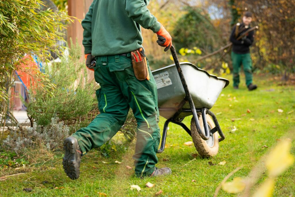 landscaping